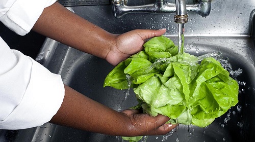 Imagem do curso Boas pr&aacute;ticas na manipula&ccedil;&atilde;o de alimentos - Promovendo a qualidade