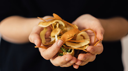 DICA | Conhe&ccedil;a a economia circular e como ela pode aliar redu&ccedil;&atilde;o de desperd&iacute;cio e sustentabilidade nos neg&oacute;cios de alimenta&ccedil;&atilde;o