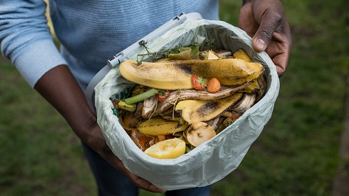Compostagem: aprenda a gerar renda transformando res&iacute;duos org&acirc;nicos