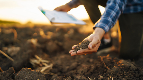 A imagem é uma foto. Em espaço que aparenta ser uma propriedade rural, vemos ao fundo o céu bem iluminado e desfocado. Próximo da foto, há um espaço de terra seca, com um homem agachado e segurando um punhado de terra com a mão esquerda. Não é possível ver o seu rosto, ele utiliza uma camisa xadrez nas cores azul e branca, calça preta e segura na mão direita uma prancheta com papéis pendurados.