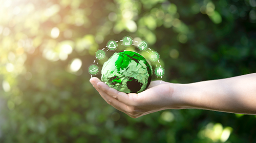 DICA | Comece a gerar renda combatendo os efeitos da crise clim&aacute;tica