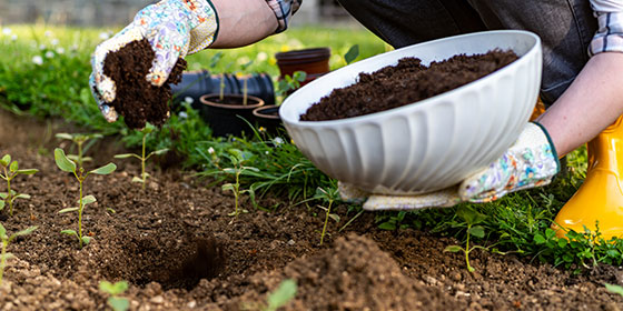 DICA I Como produzir e aplicar bioinsumos: receitas completas
